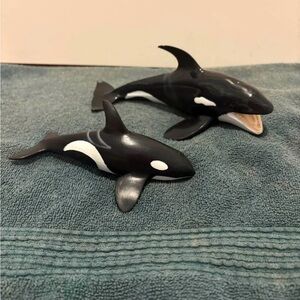 Orca with Calf and Bottlenose Dolphin